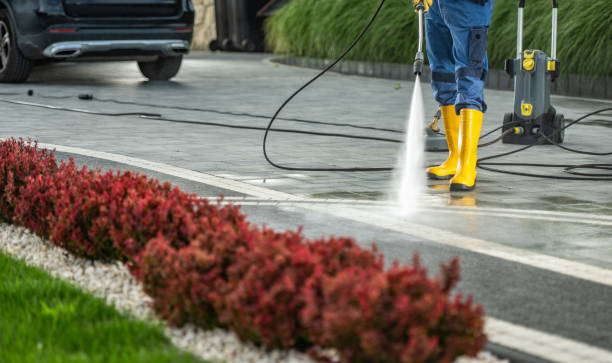 Best Graffiti Removal  in Oak Hills, CA